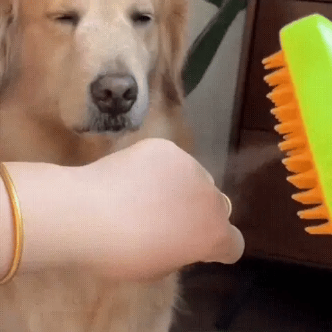 2x1 SpaPeludo 🐾 (Cepillo de vapor para tu mascota) – Mundo Extremo