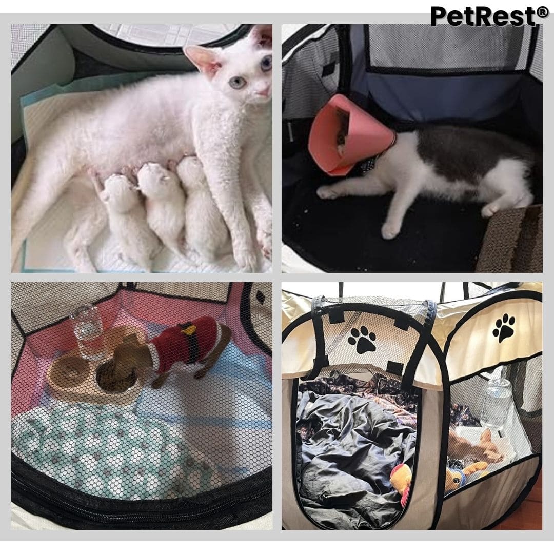 PetRest® (Corral portátil para mascotas)