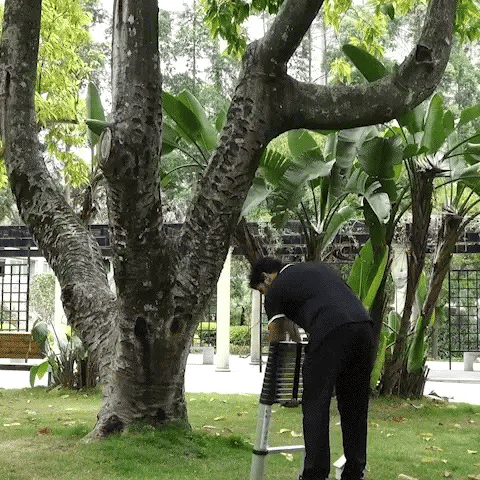 LaddEx® (Escalera telescópica retráctil)