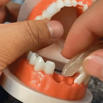 FALSE TEETH® 2X1 (Dientes postizos) – Mundo Extremo