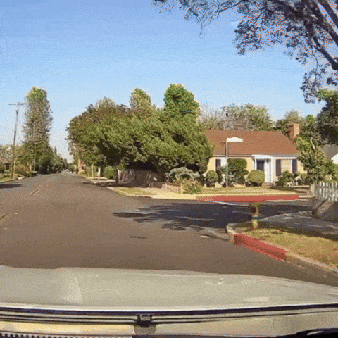 CarWatch® (Camara de seguridas para autos)